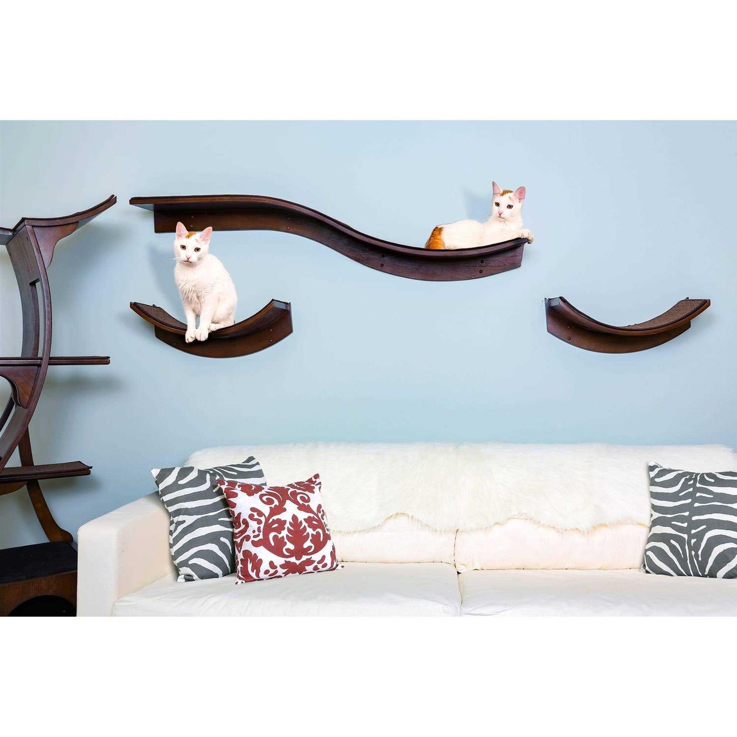Cat Shelf T532493