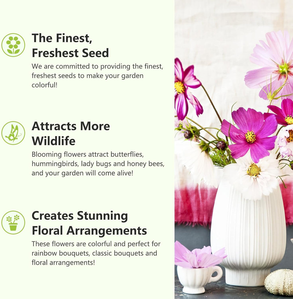 1.75 Ounce Wildflower Seeds Mix C12857