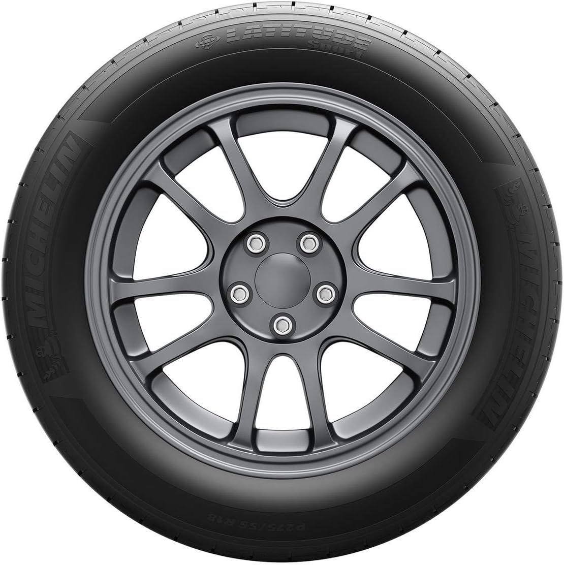 275/55R19 111W All-Season Radial Tire P686