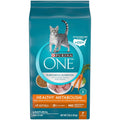 Dry Cat Food Y21638