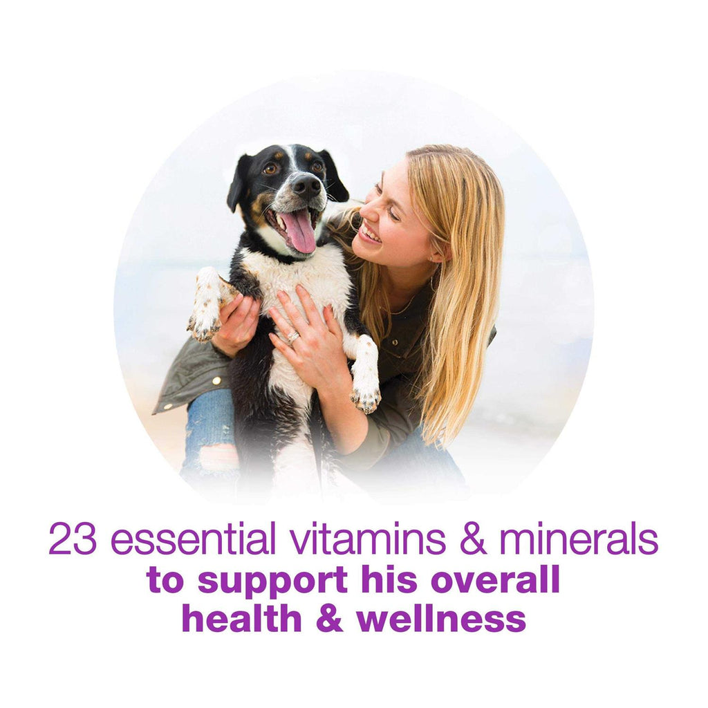 Chopped Blends Wet Dog Food with Chicken Carrots Peas & Wild Rice O387944