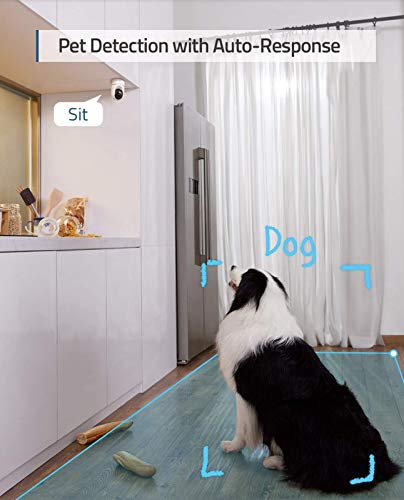 Indoor Cam, Pan & Tilt, 2K Wi-Fi Plug-in, Night Vision R300