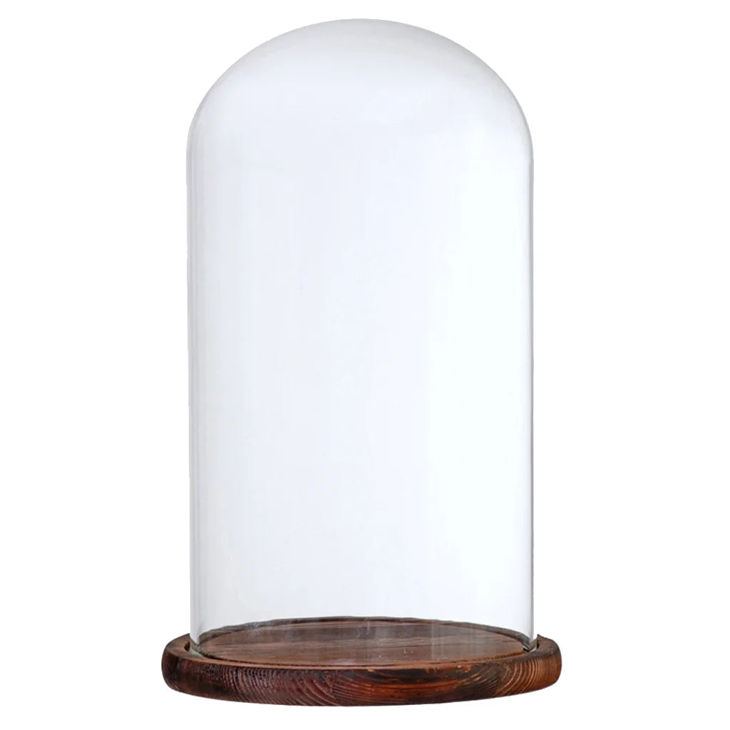 Brown Glass Cloche with Wooden Base Q912892
