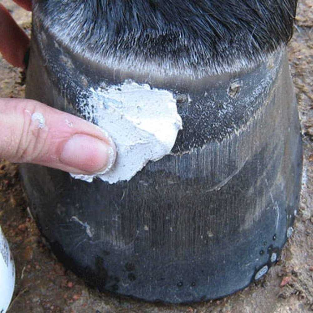 Hoof Clay 750g W37507