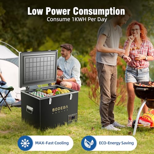 12 Volt 43L Portable Car Fridge V687555