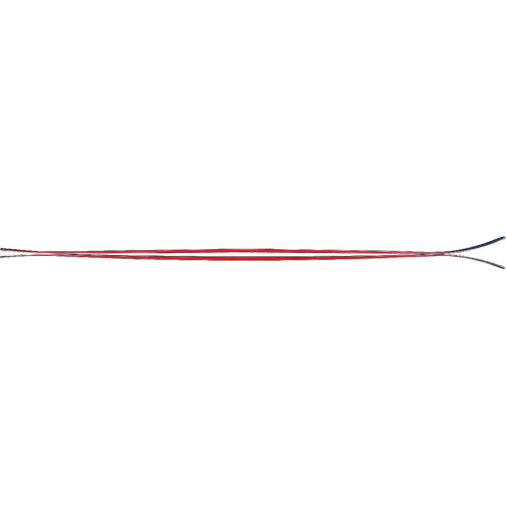 179 cm Skis L1272