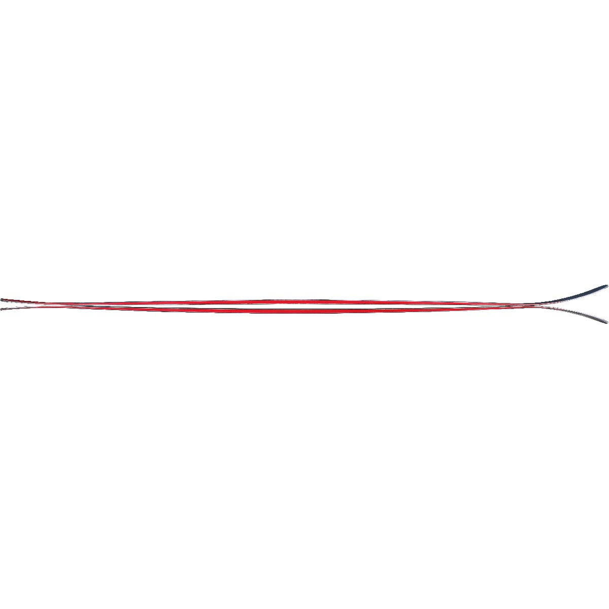 179 cm Skis L1272