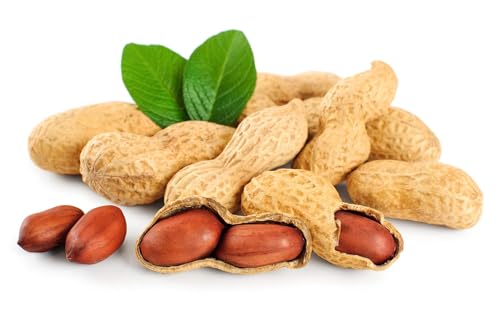 Raw Peanuts in Shell, 25 Pound Bag H127
