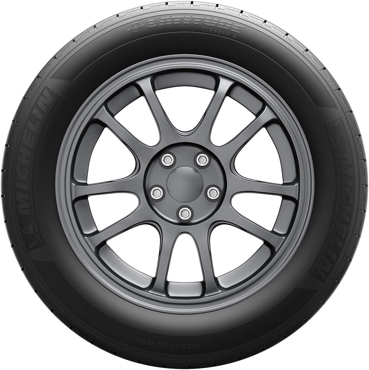 275/55R19 111W All-Season Radial Tire P686