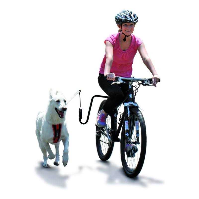 Hands Free Dog Leash Bike Attachment Kit E471780