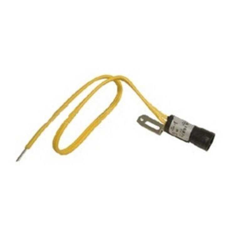 Cad Cell Eye and Leads Q968