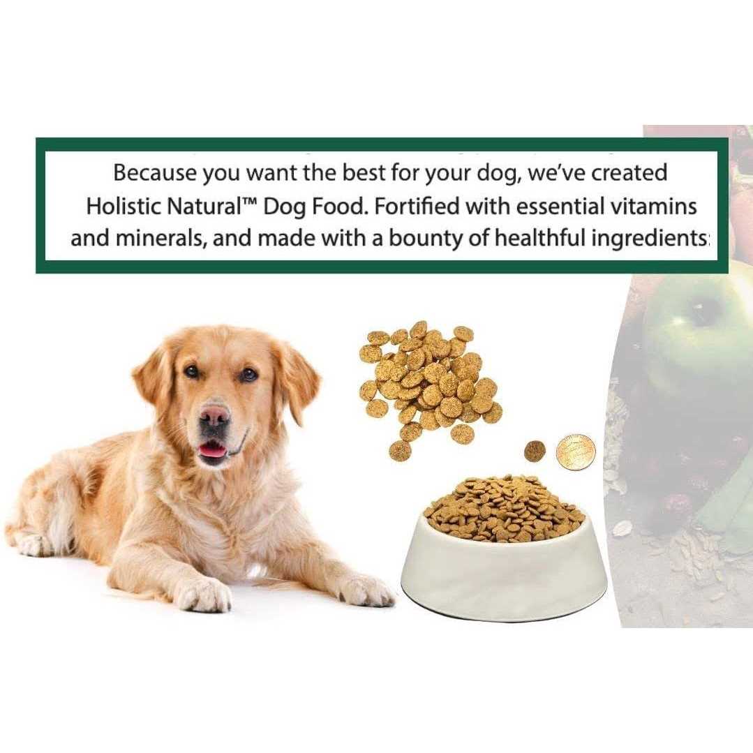 6.6 lb Chicken Meal and Brown Rice Recipe Dry Dog Food G36053