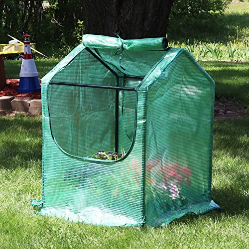 Green 4' x 3' Mini Greenhouse Tent with Steel Tube Frame Y23345