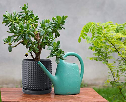 6 Inch Blue Ceramic Stoneware Planter Pot with Drainage Holes and Saucers O4488