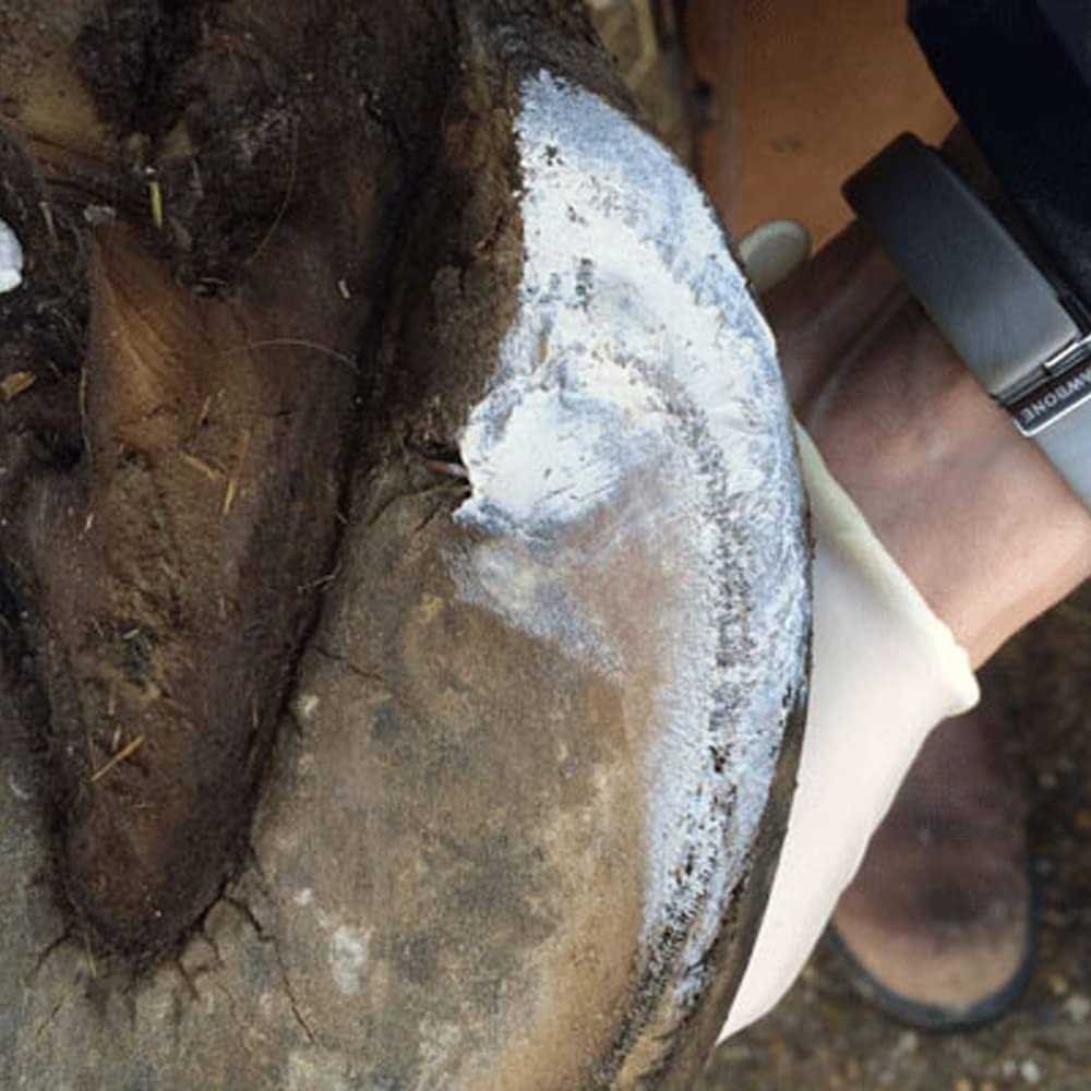 Hoof Clay 750g W37507