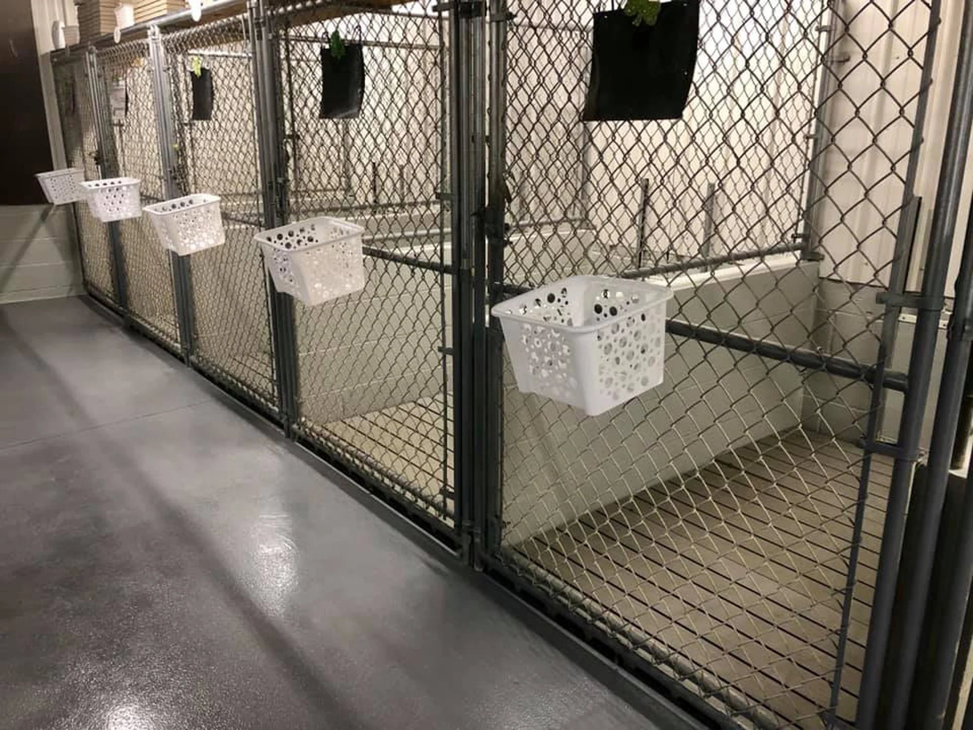 1 pack Kennel Deck N585620