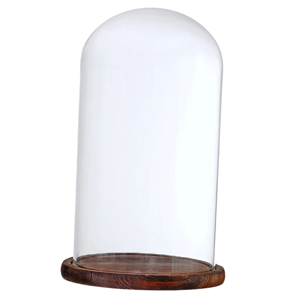 Brown Glass Cloche with Wooden Base Q912892