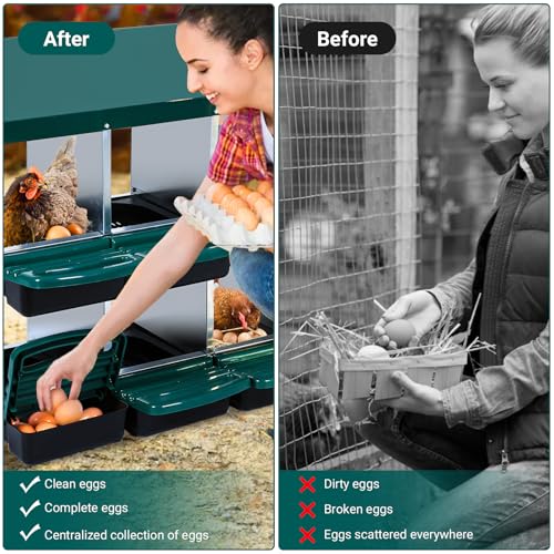 10 Hole 2 Layer Chicken Nesting Box with Legs G967