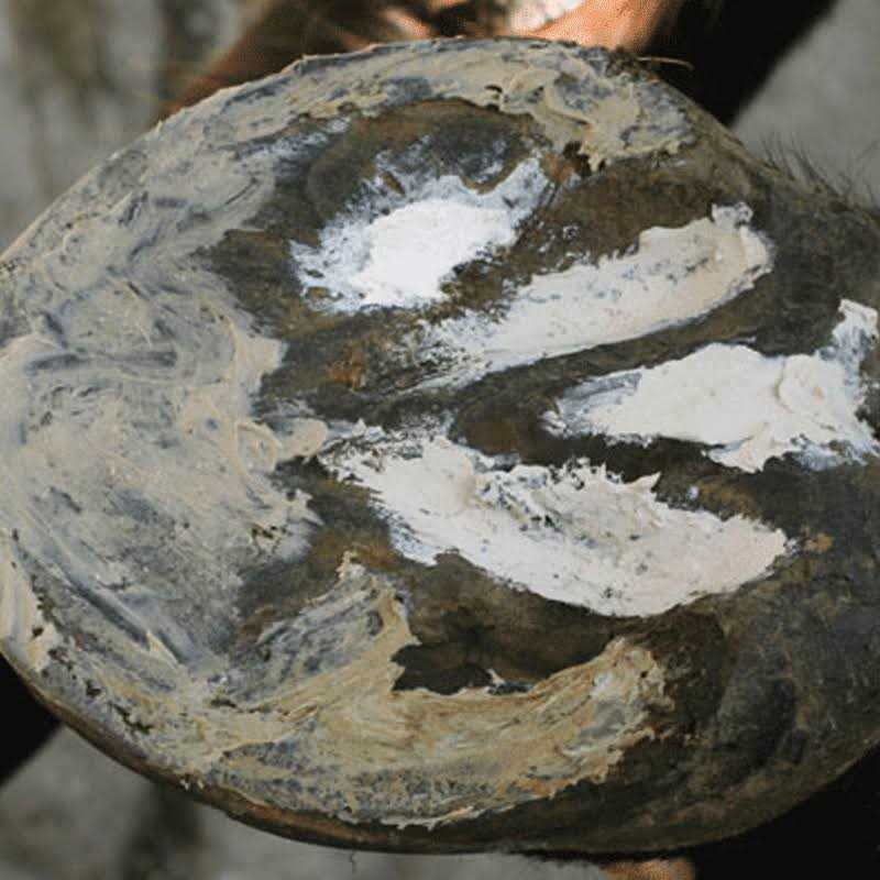 Hoof Clay 750g N492517