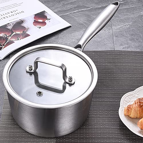 Tri-Ply Stainless Steel 3 QT Saucepan with Steamer Set D304
