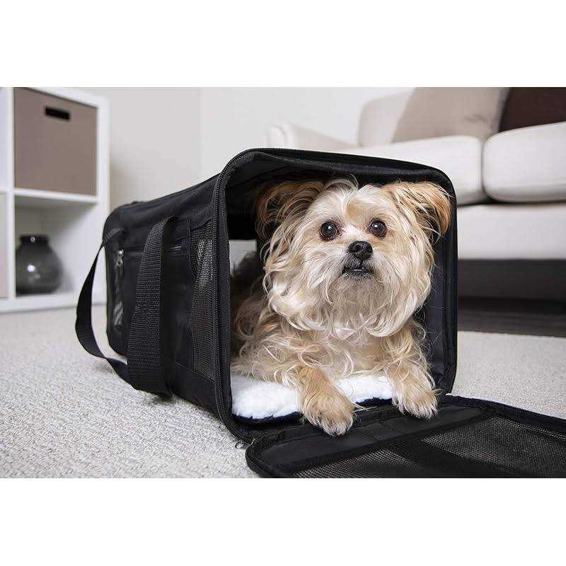 Travel Pet Carrier V586