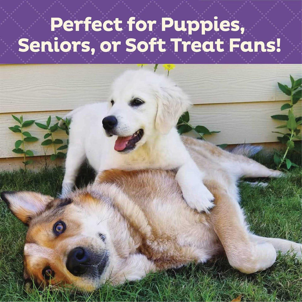 Soft & Tasty Peanut Butter & Bacon Biscuits Baked Dog Treats Mini N63582