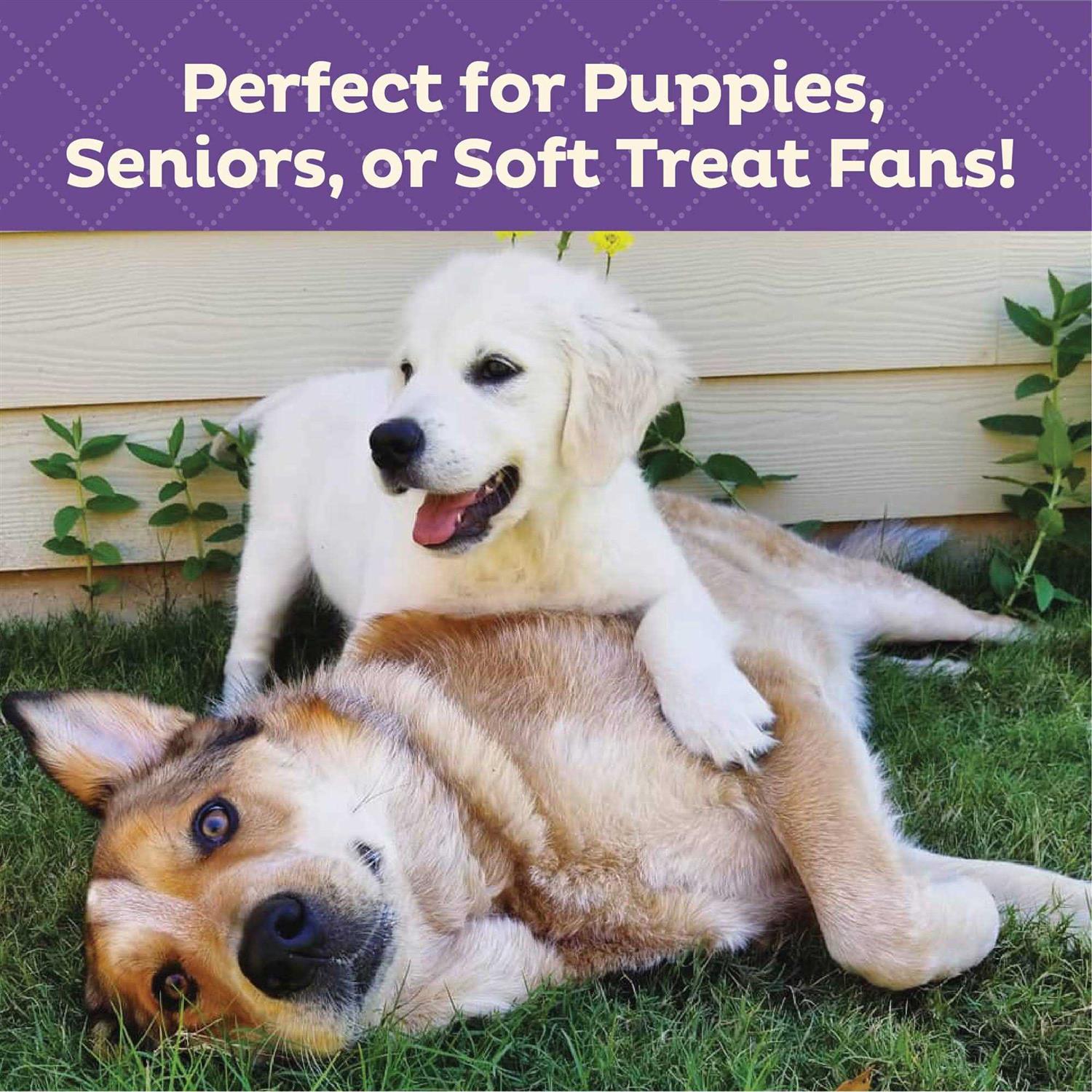 Soft & Tasty Peanut Butter & Bacon Biscuits Baked Dog Treats Mini N63582