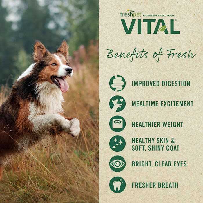 Grain-Free Chicken Fresh Small Breed Dog Food E72831