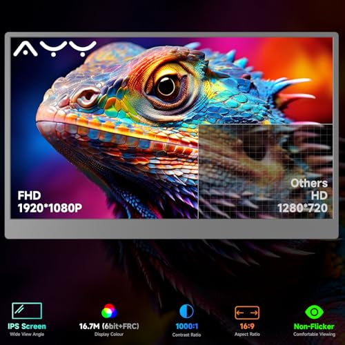 15.6 Inch 1080P IPS Portable Monitor F604535