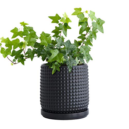 6 Inch Blue Ceramic Stoneware Planter Pot with Drainage Holes and Saucers O4488