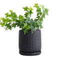 6 Inch Blue Ceramic Stoneware Planter Pot with Drainage Holes and Saucers O4488