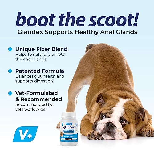 Vegan Powder Anal Gland Fiber Supplement 2.5oz with Pumpkin & Digestive Enzymes U182649