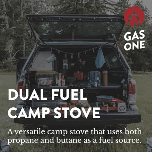 Portable Dual Fuel Propane Butane Stove with Carrying Case O665