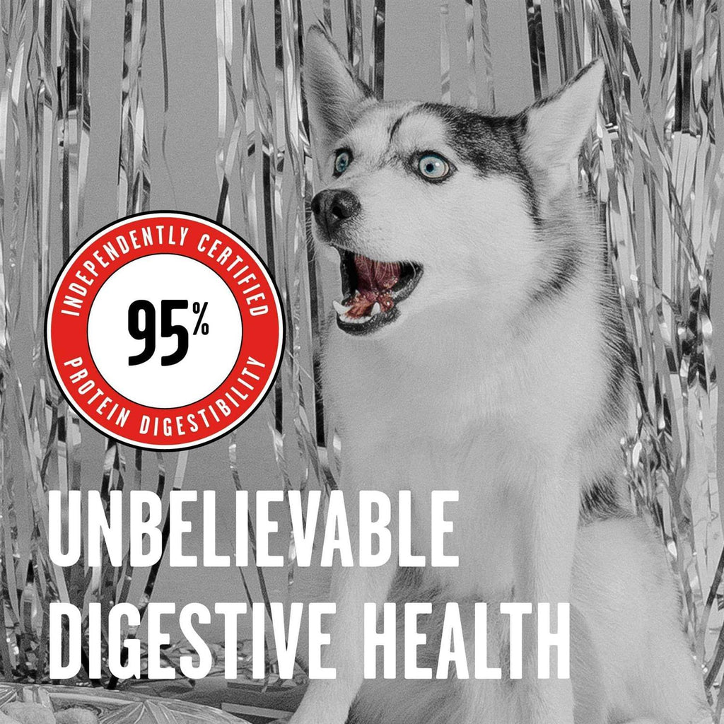 Rawbble Freeze Dried Beef Dog Food H281761