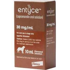 Entyce Oral Solution for Dogs A1071