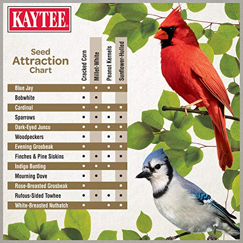 9.75 Pound No Mess Wild Bird Food Seed D3573