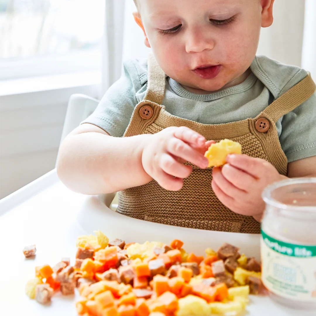 Organic Baby Finger Food 12-Meal Variety Pack W137
