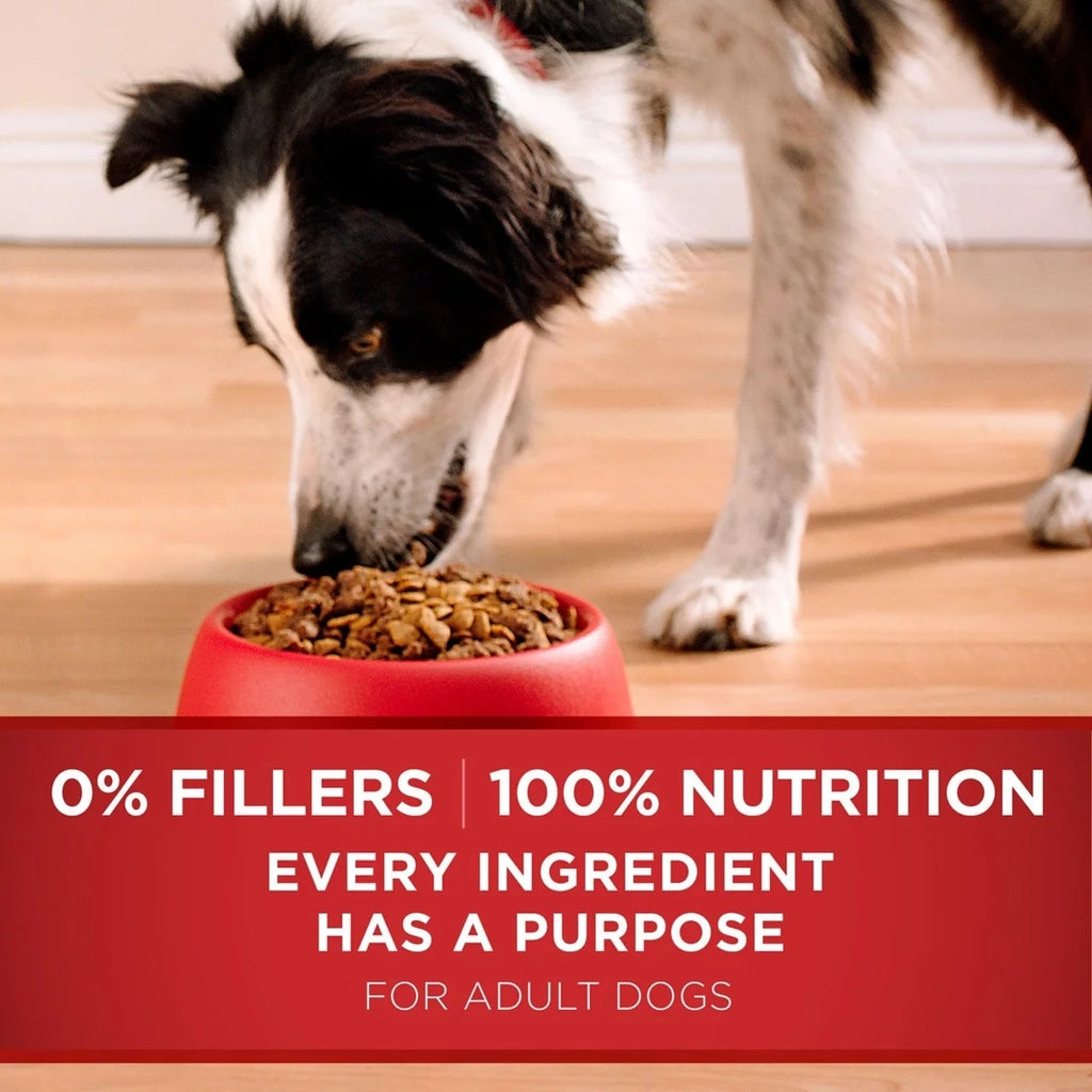 Lamb & Rice Formula 44 Pounds Dog Food K8902