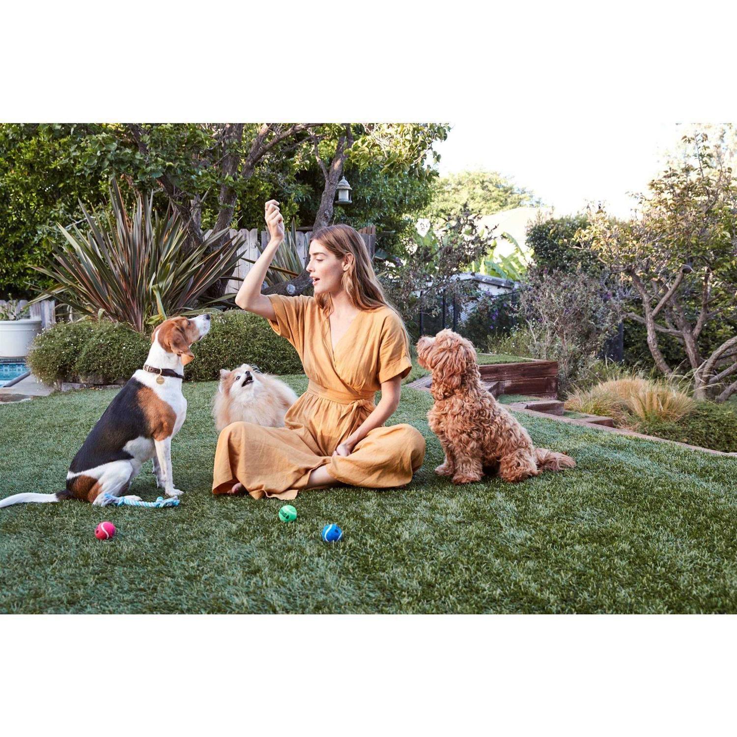 Chicken Recipe Dog Treats O412