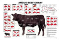 Meat Cuts Diagram Poster C988875