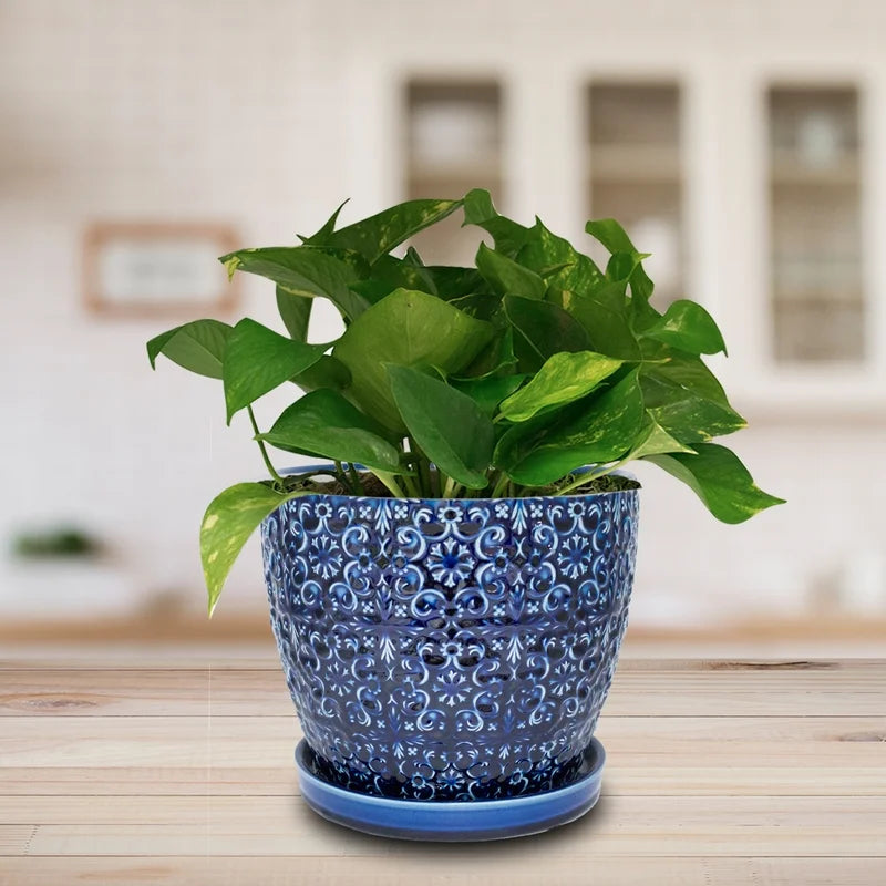10" Round Blue Ceramic Planter S66275