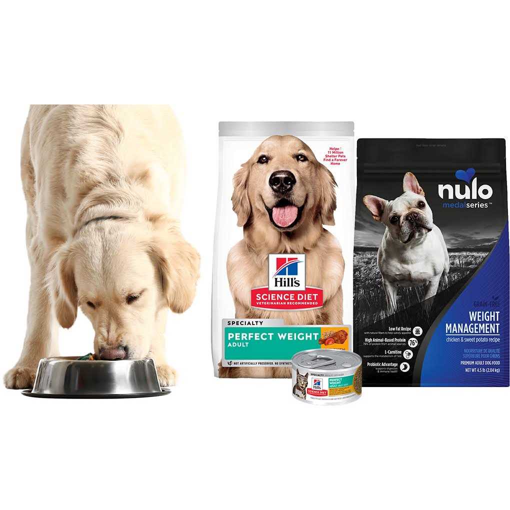 34-lb bag Dry Dog Food W5647