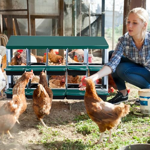10 Hole 2 Layer Chicken Nesting Box with Legs G967