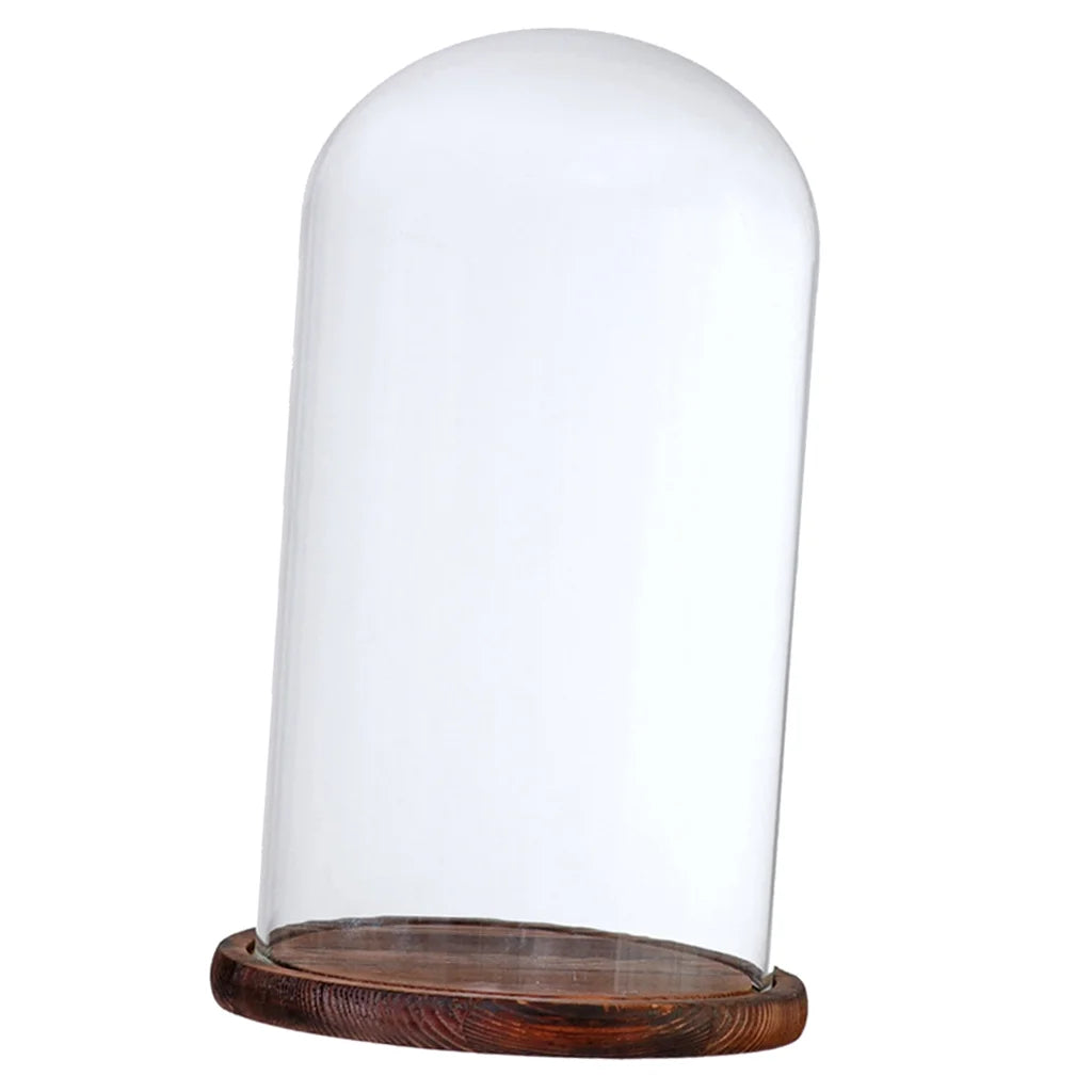 Brown Glass Cloche with Wooden Base Q912892