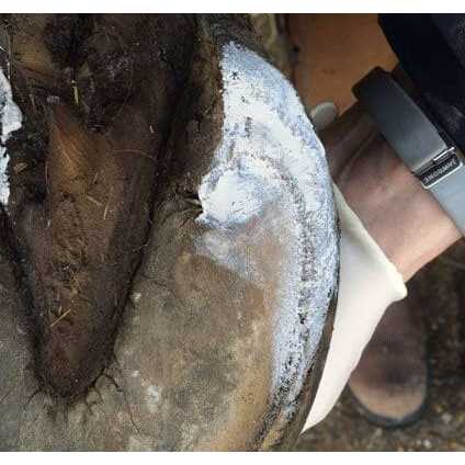 Hoof Clay 750g N492517