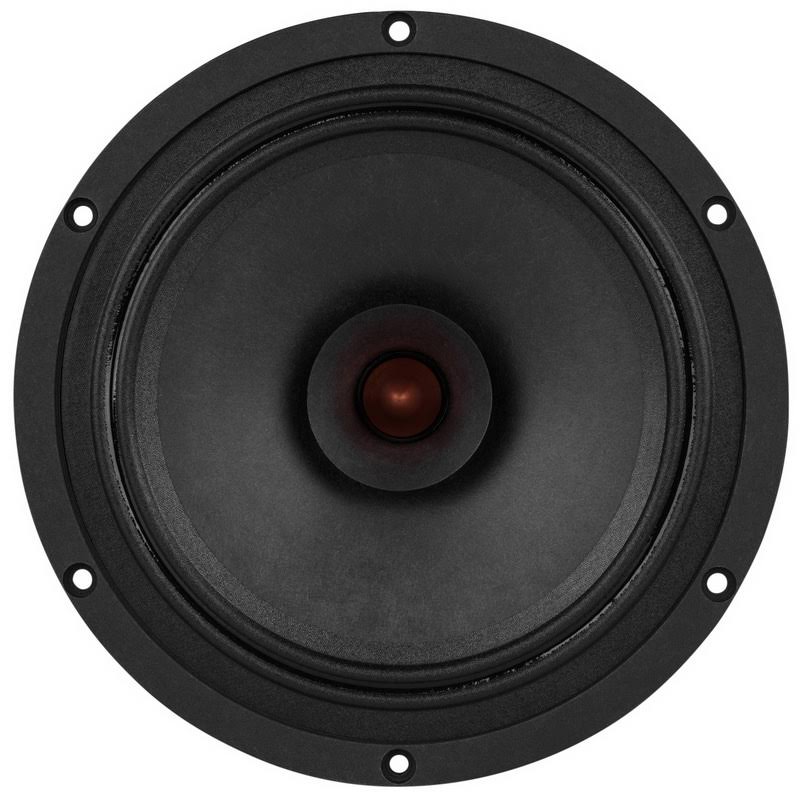 8x22 Point Source Full-Range Neo Driver P359901