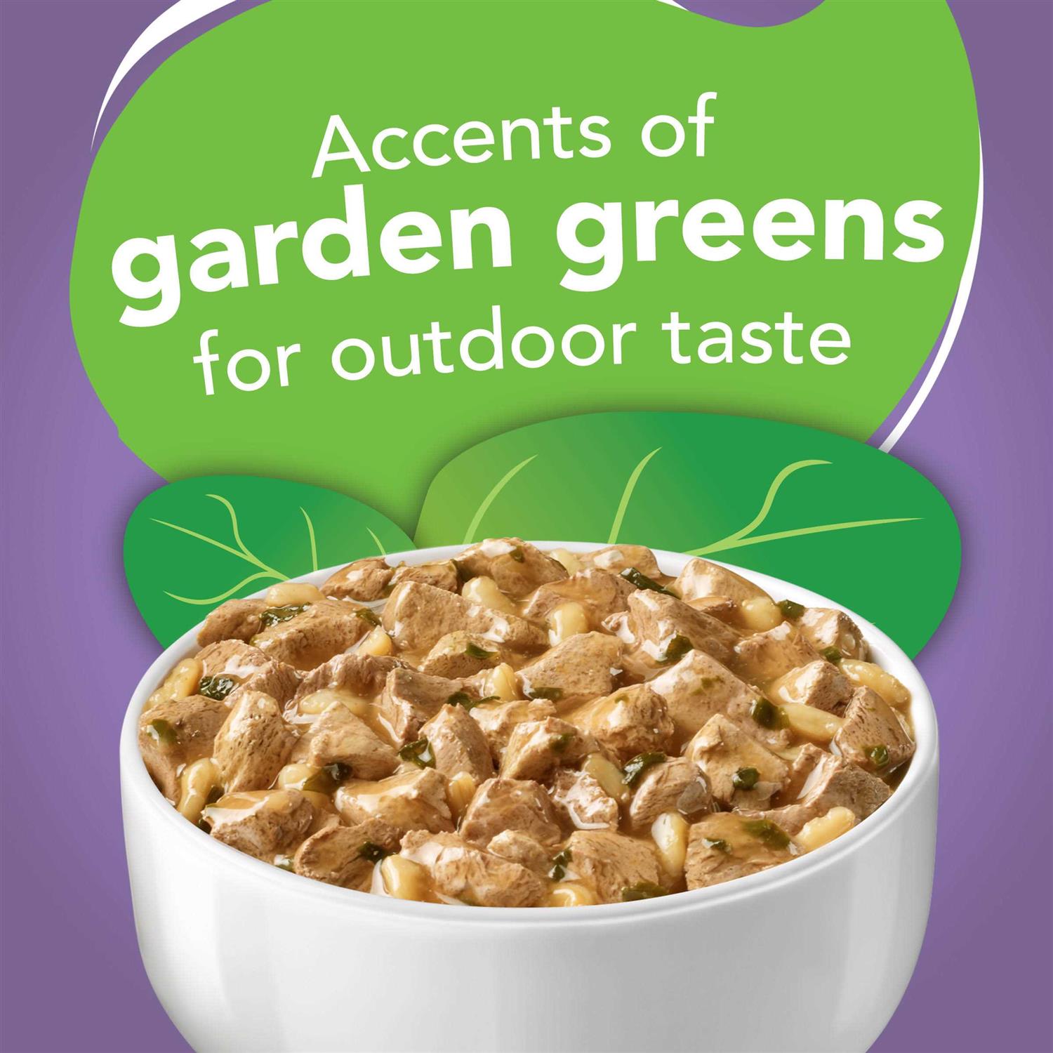 Wet Indoor Cat Food C56361