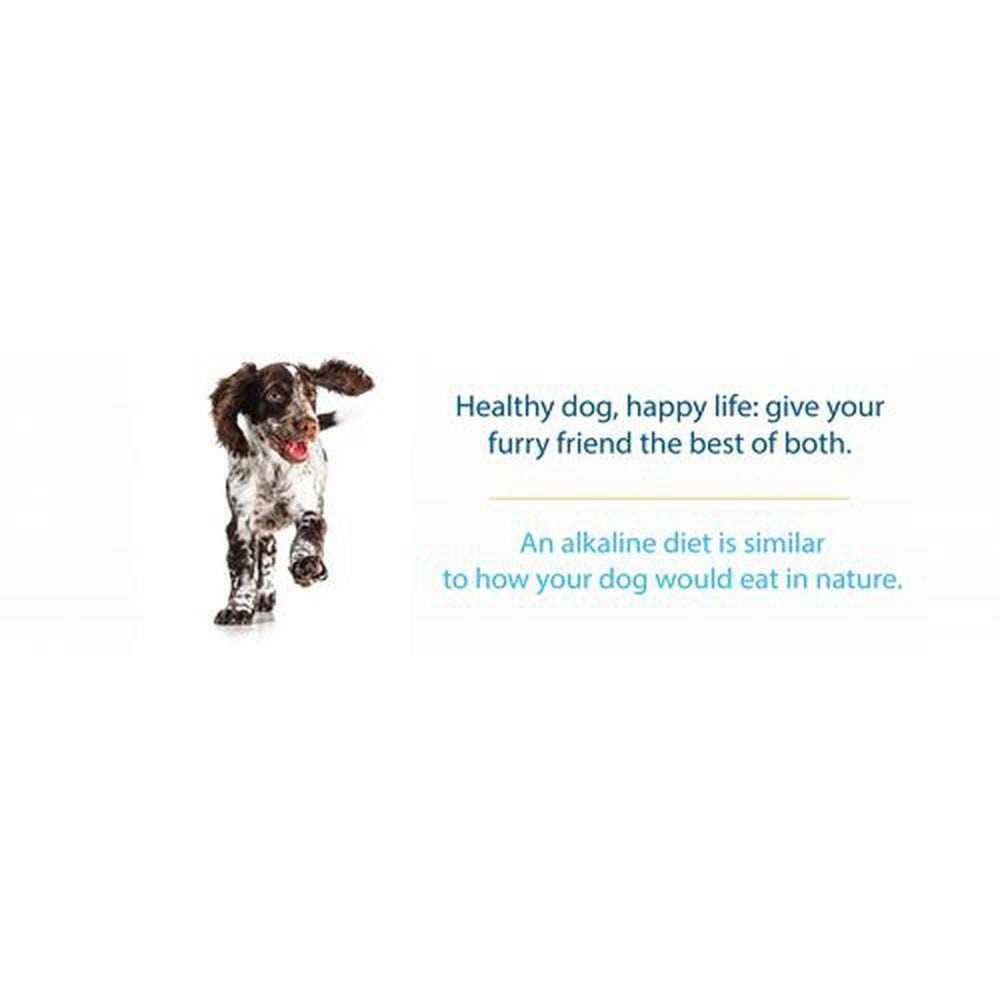 Limited Ingredient Dry Dog Food E347140