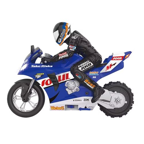 1:16 Scale RC Racing Car with Self-Balancing Stunt Functions B35663