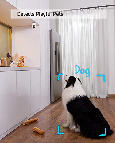 Indoor Cam, Pan & Tilt, 2K Wi-Fi Plug-in, Night Vision R300
